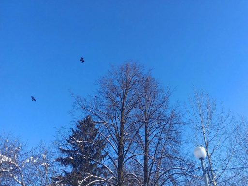 Весеннее небо