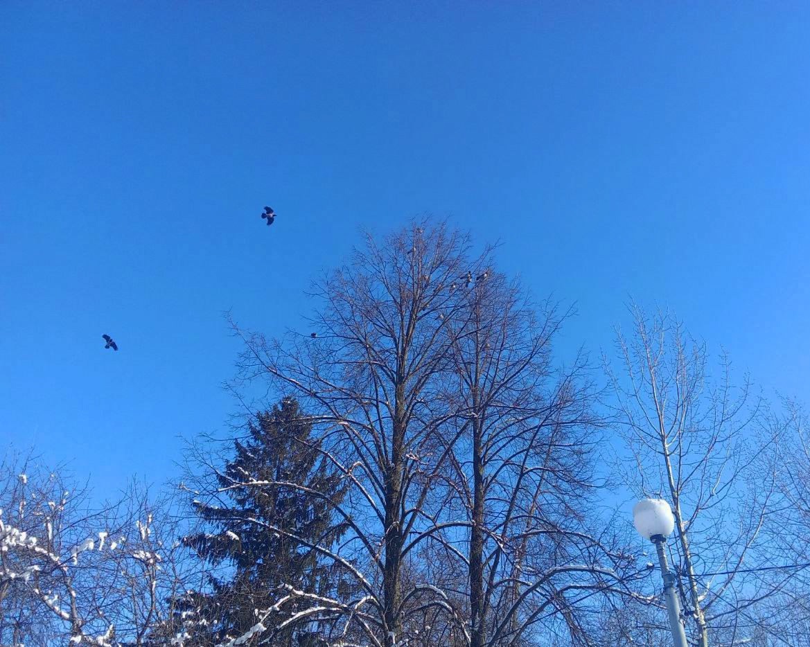 Весеннее небо Весеннее небо